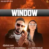 Window
