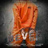 Neverknow  Ft. Biresh