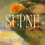 Supne
