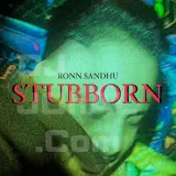 Stubborn