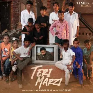 Teri Marzi