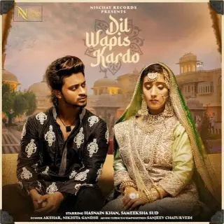 Dil Wapis Kardo