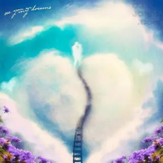 See You In My Dreams