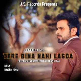 Tere Bina Nahi Lagda