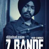 7 Bande