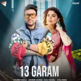 13 Garam