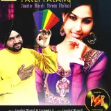 Patli Patang