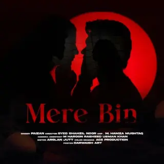 Mere Bin