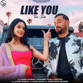Like U (Tere Jaisi)