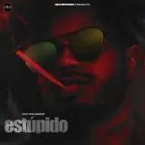 Estupido