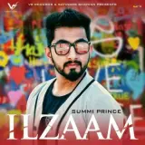 Ilzaam