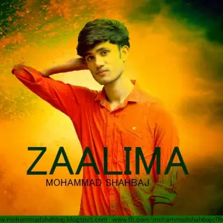 Zaalima (Shahbaj Mix)