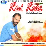 Red Rose