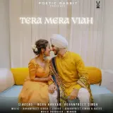 Tera Mera Viah