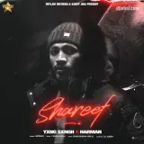 Shareef