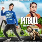 Pitbull