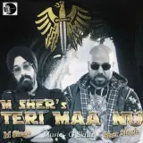 Teri Maa Nu