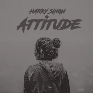 Attitude