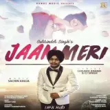 Jaan Meri