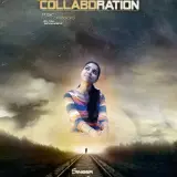 Collaboration