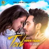 Torh Dinde Haan