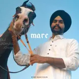 Mare