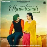 Nawabzaadi