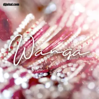 Wanga Ft. DJJD