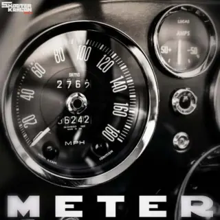 Meter Ft. Guri Lahoria