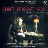 Cant Forget You