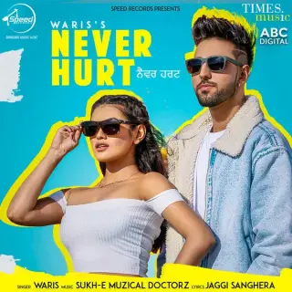 Never Hurt Ft Sukh E Muzical Doctorz