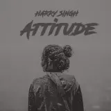 Attitude