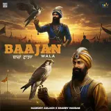 Baajan Wala