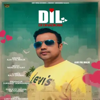 Dil Di Dharkan