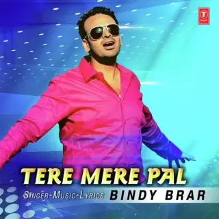 Tere Mere Pal