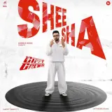 Sheesha