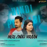 Meri Zindgi Viraan
