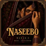 Naseebo