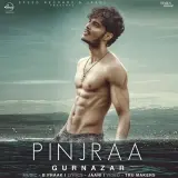 Pinjraa Ft. B Praak
