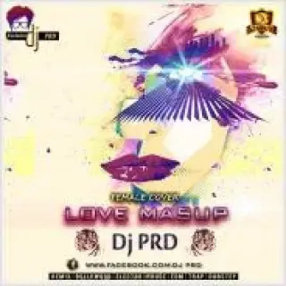 Chahun Main Ya Na Female Mashup Unpluggd