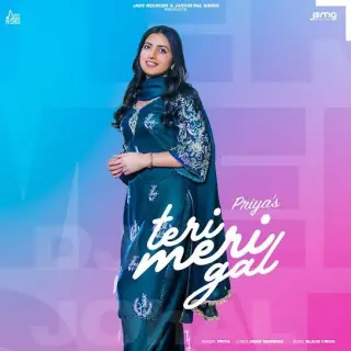 Teri Meri Gal