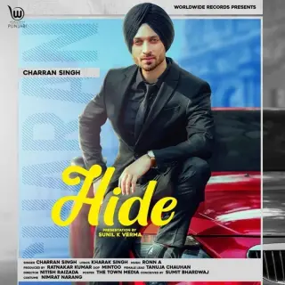 Hide