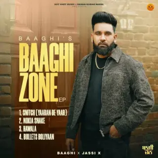 Baaghi Zone - EP