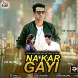 Na Kar Gayi