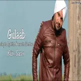 Gulaab