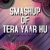 Tera Yaar Hoon Main Remix
