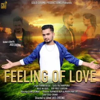 Feeling Of Love