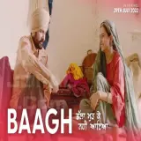 Baagh