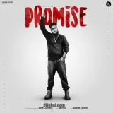 Promise