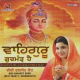 Satgur Hoye Dayal Ta Sardha Puriye